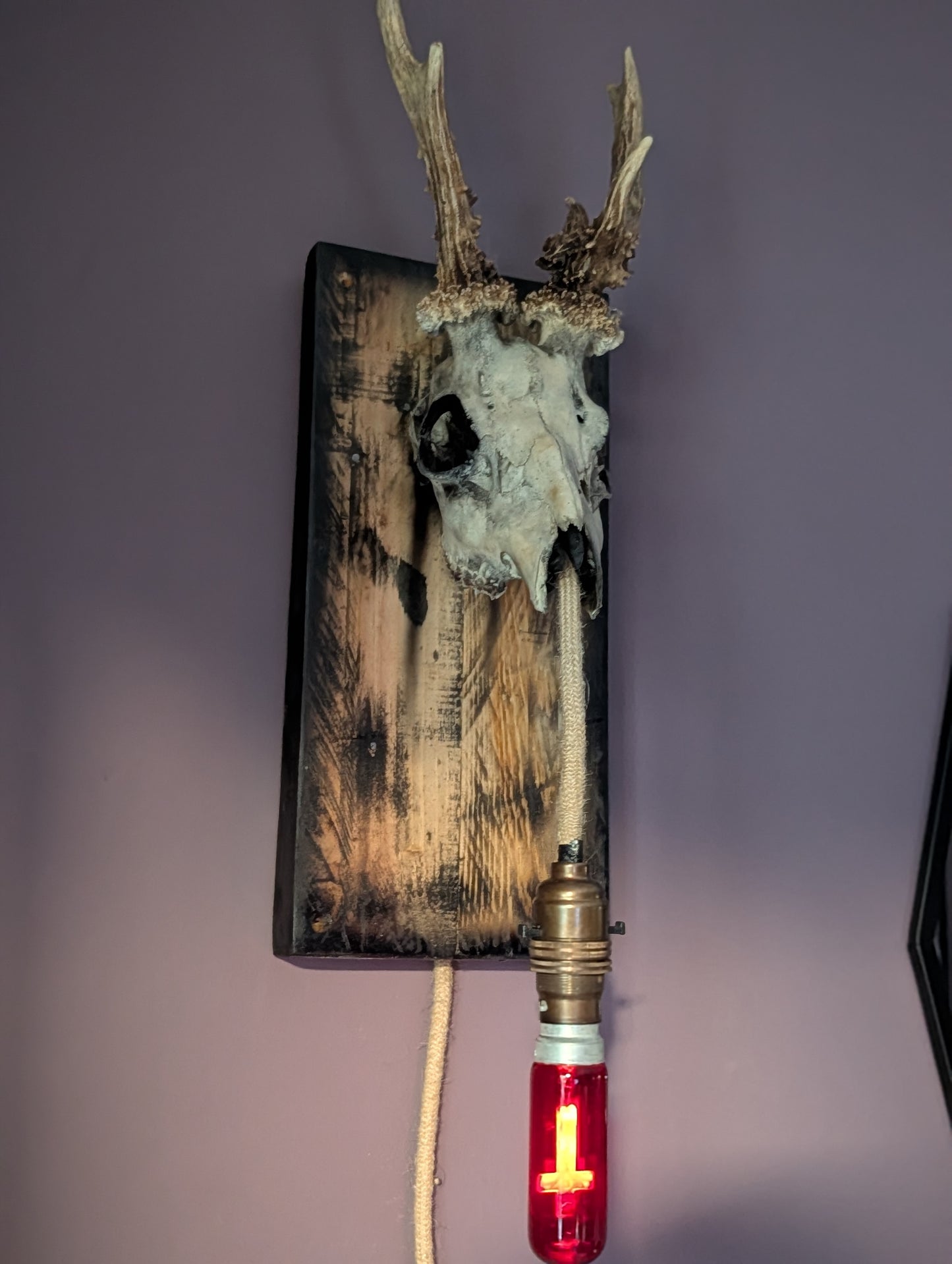 Deer Skull Light