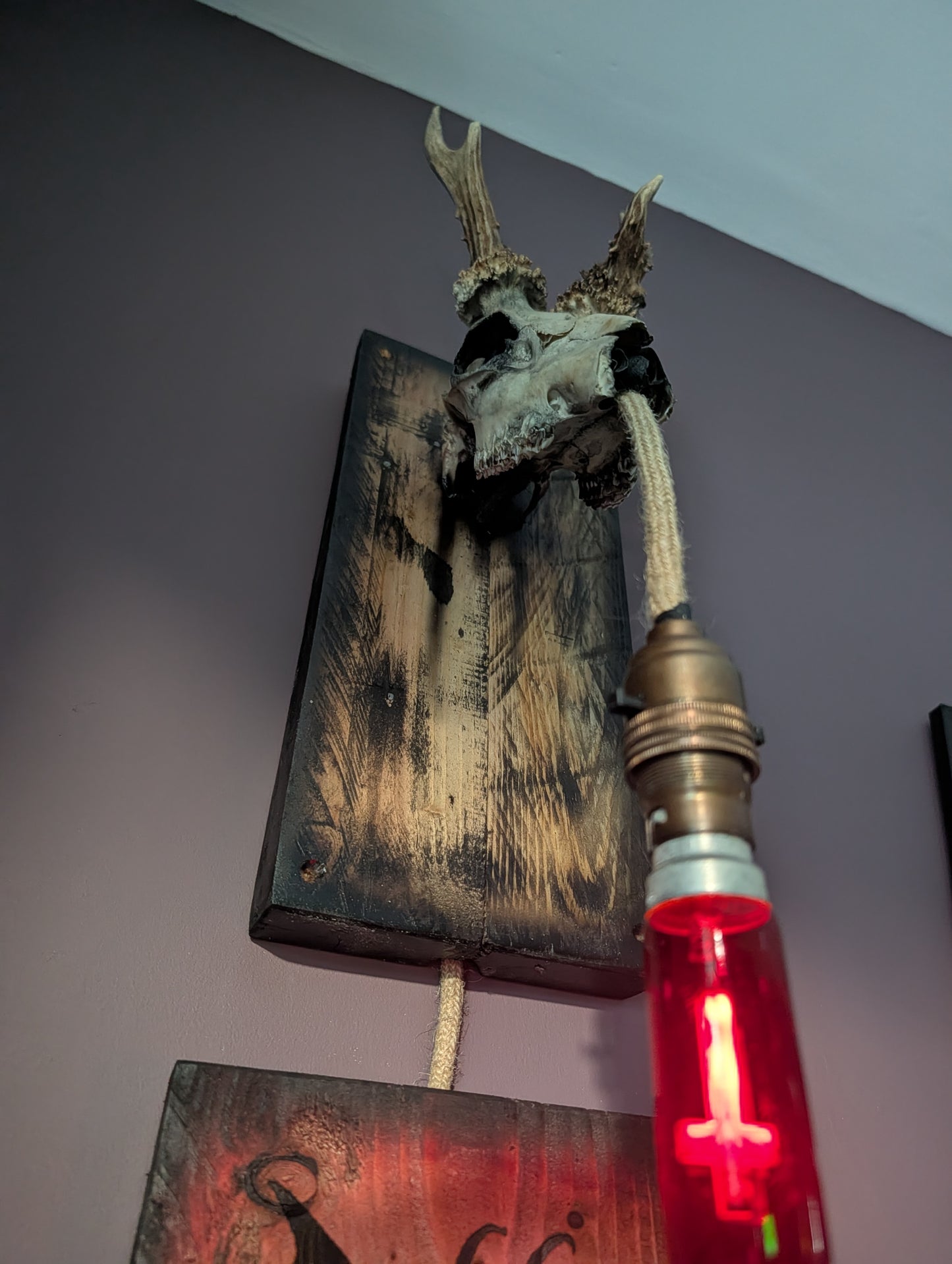 Deer Skull Light