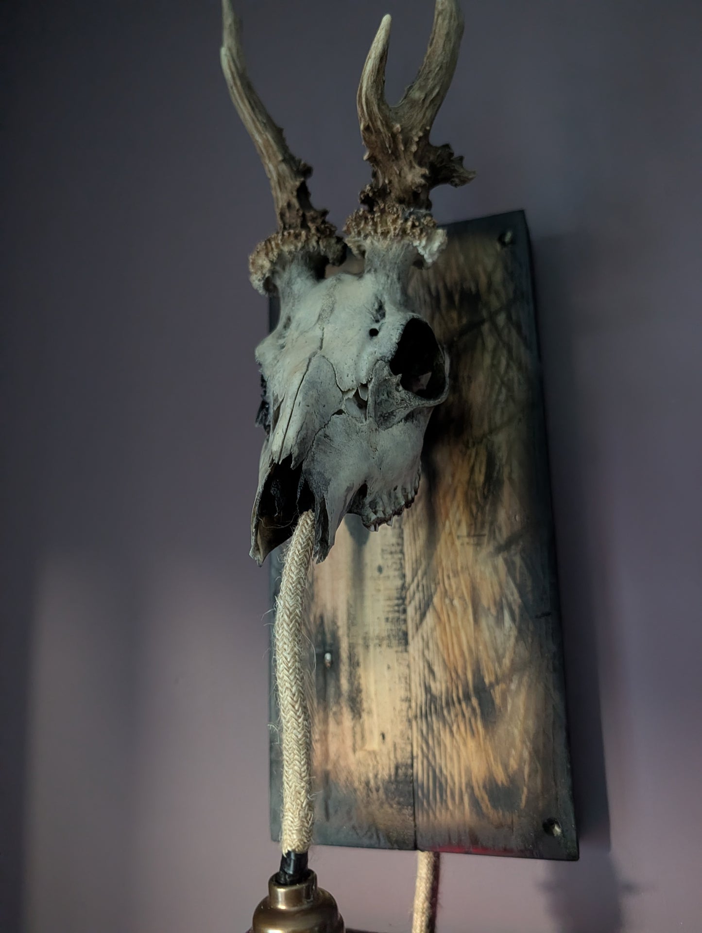 Deer Skull Light
